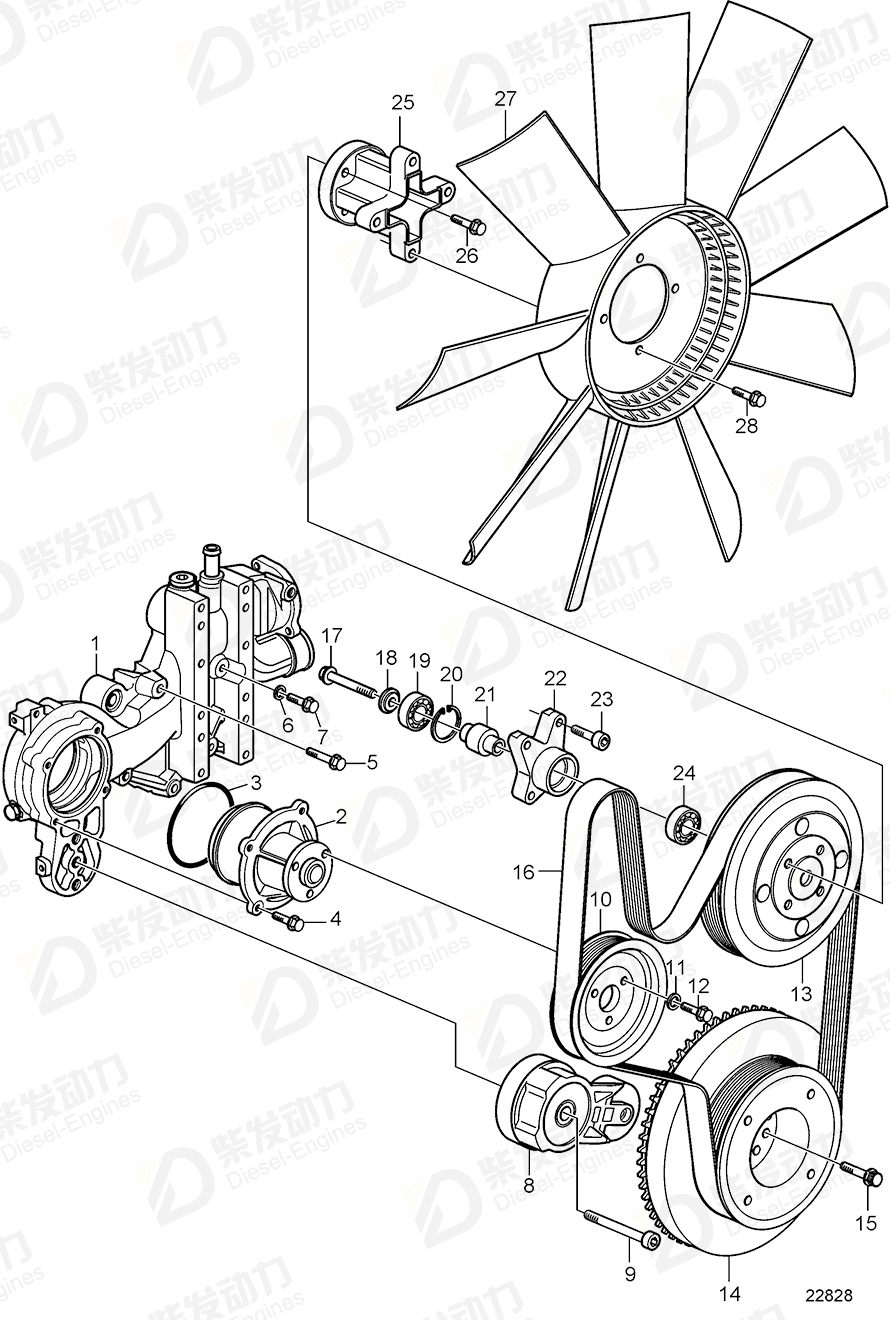 VOLVO V-ribbed belt 20582555 Drawing